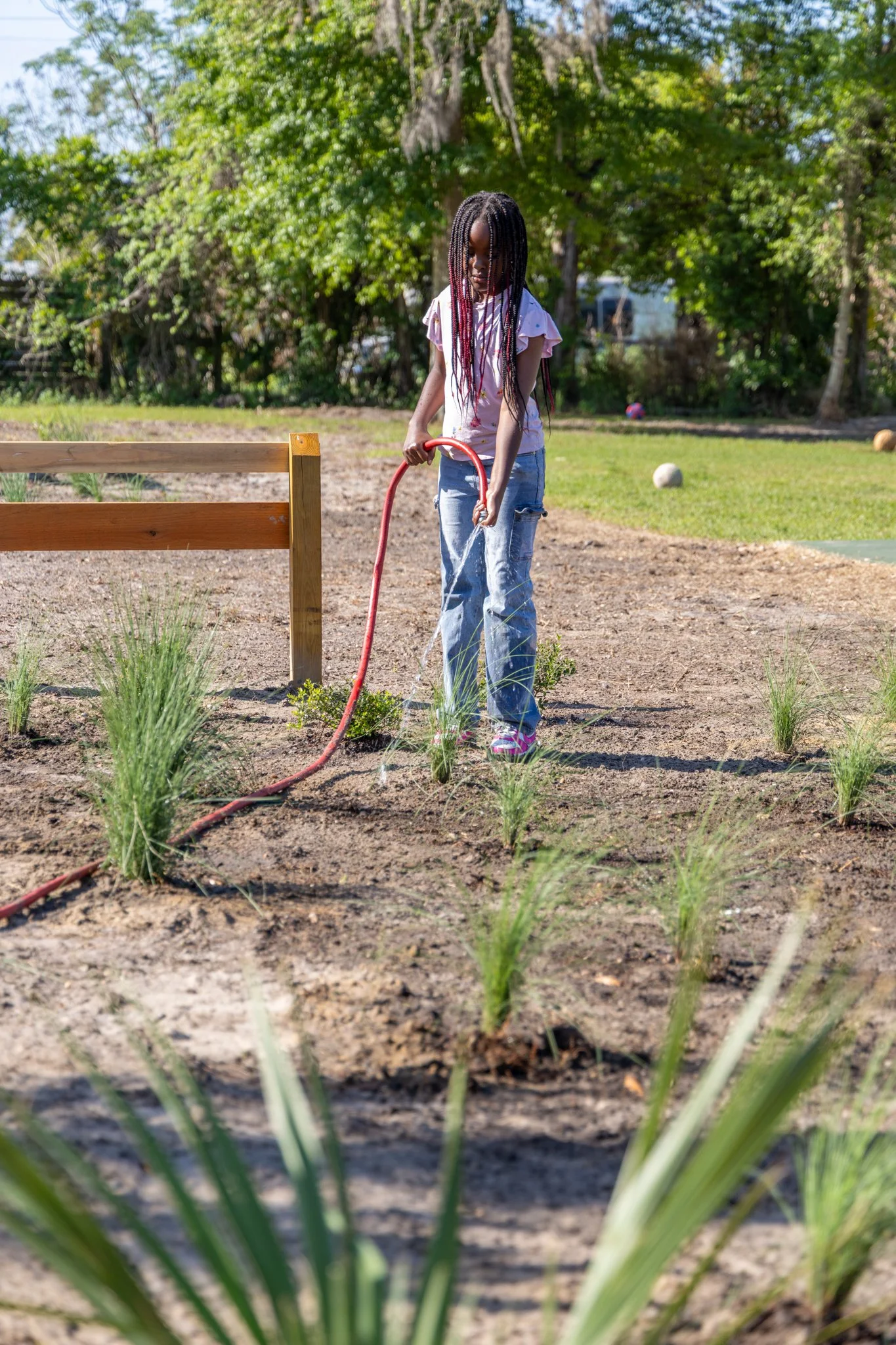 Innovation Montessori Planting-17.jpg
