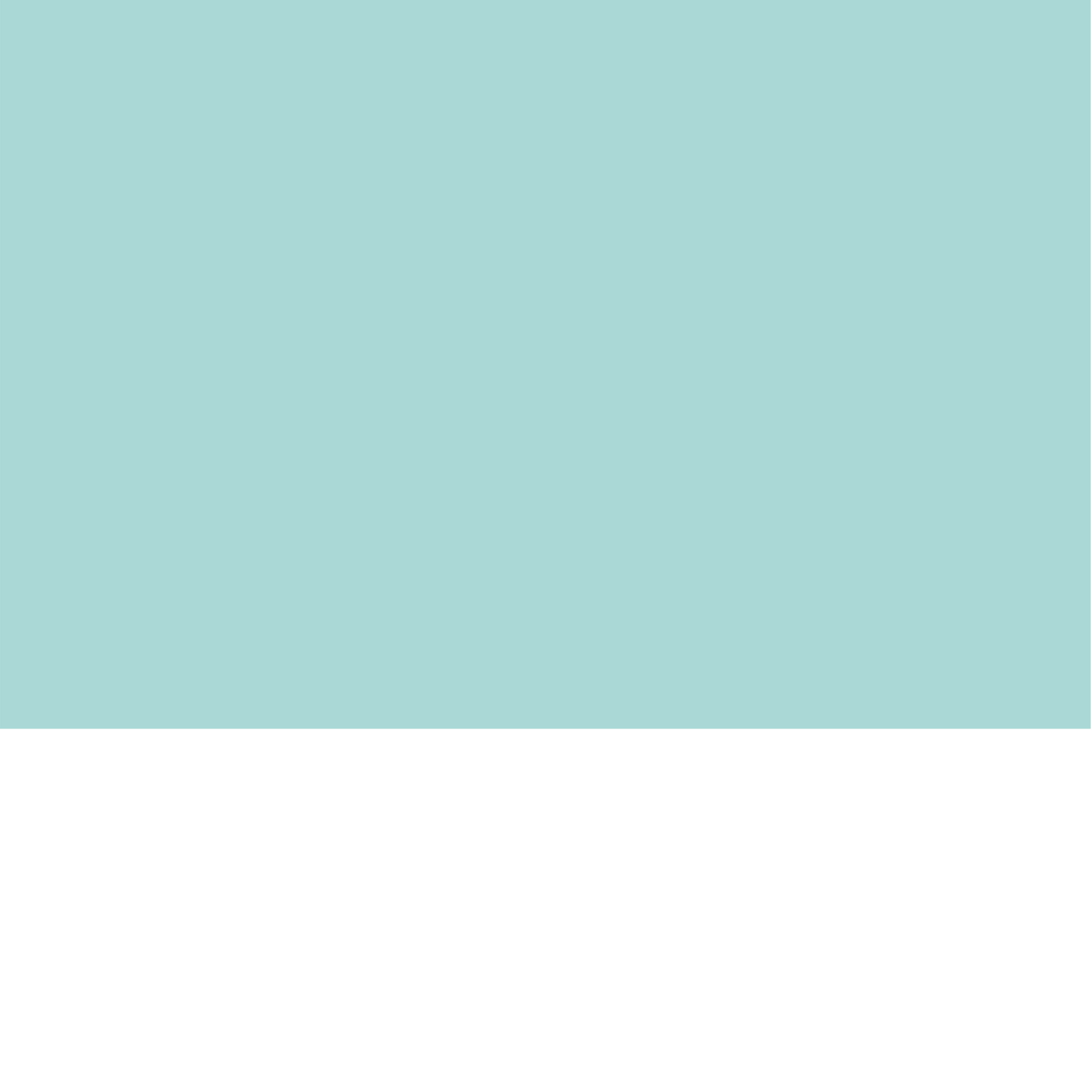 Copy of Influence Backgrounds (Tall) - Homepage-5.png