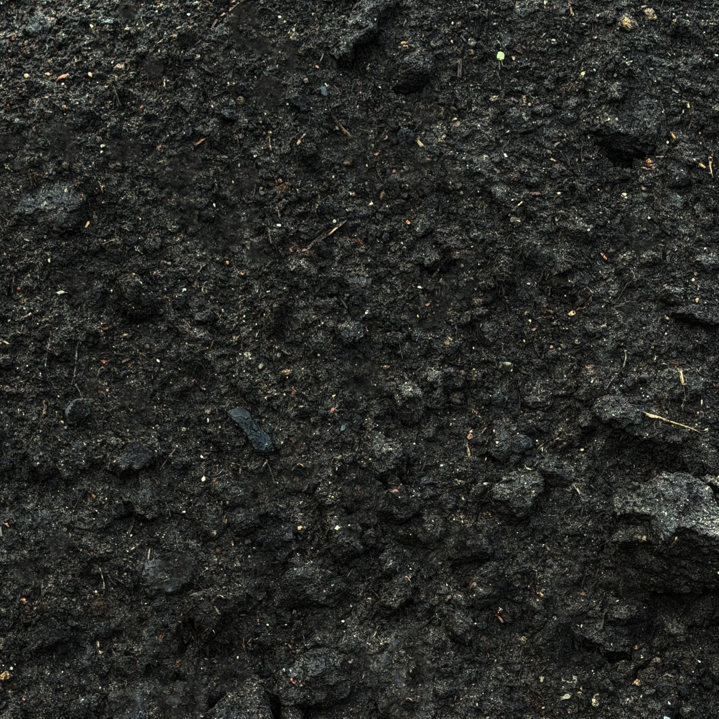 Black Top Soil.jpg