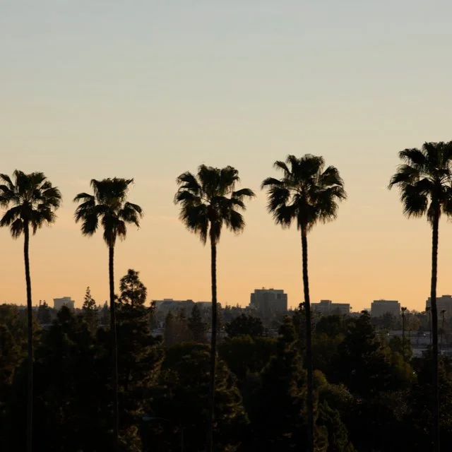 Anaheim Extends Deadline for Section 8 Housing Voucher Waitlist Applications