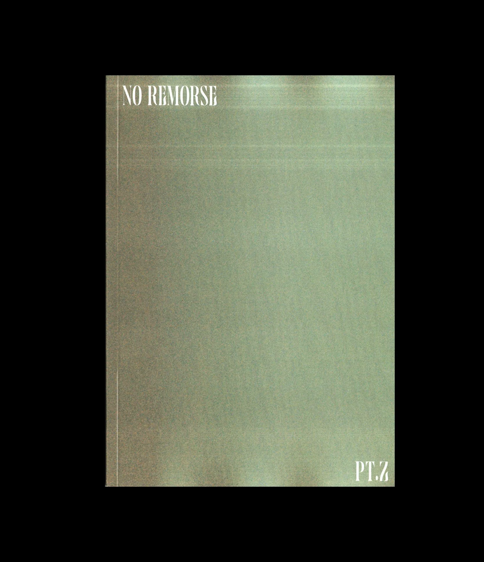 No remorse Cover.jpg