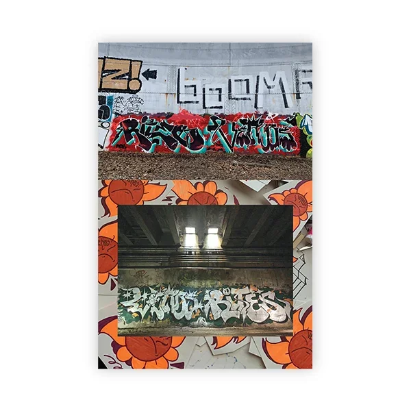 MDXII+2.webp