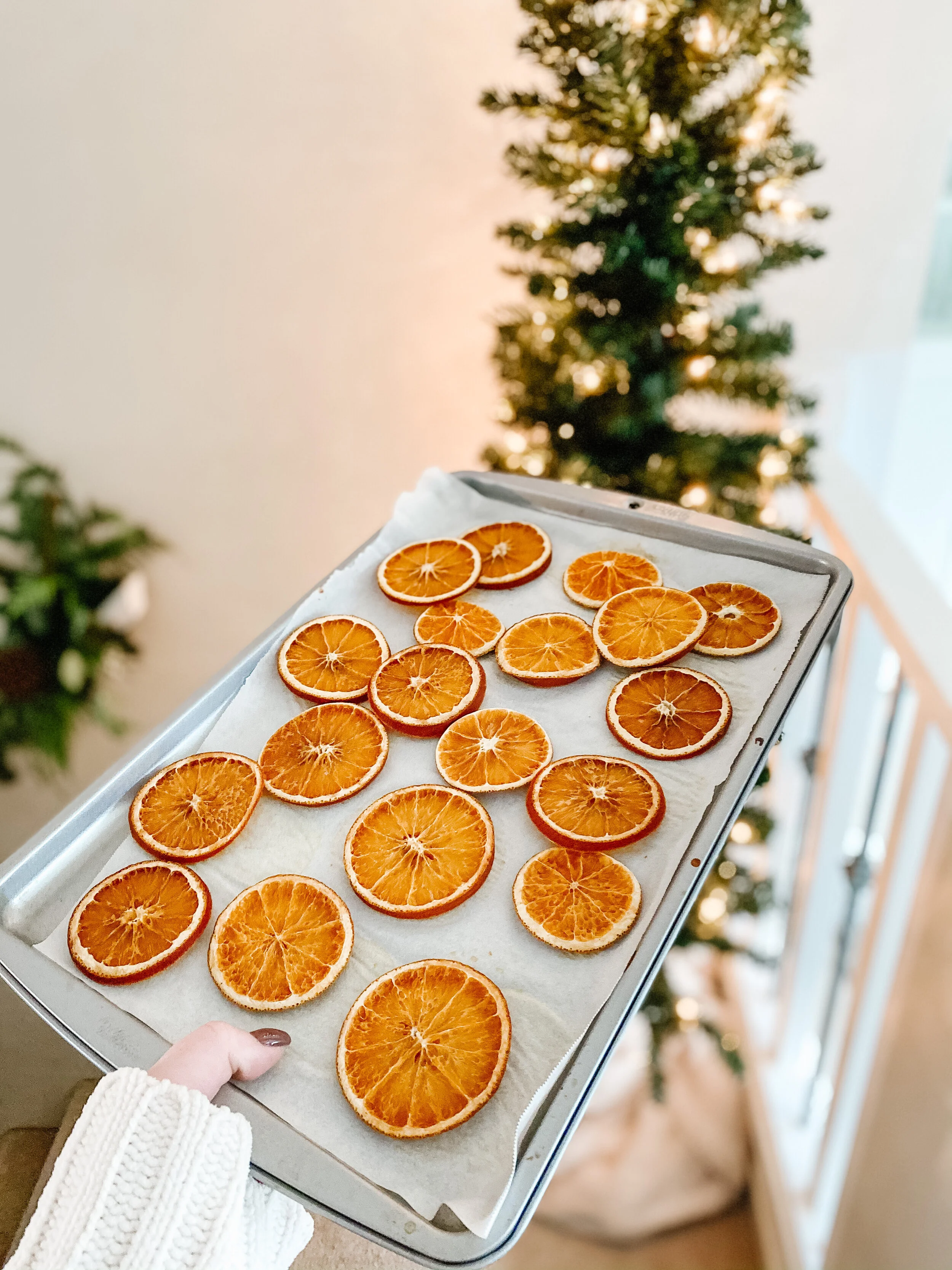 DIY Dried Citrus Garland! 