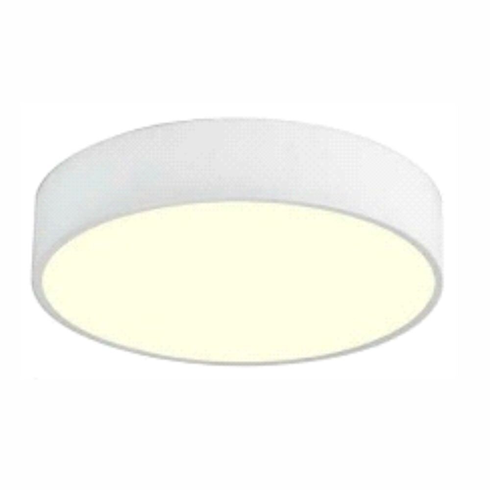 845: Indoor Ceiling Fixture 11.8x4"