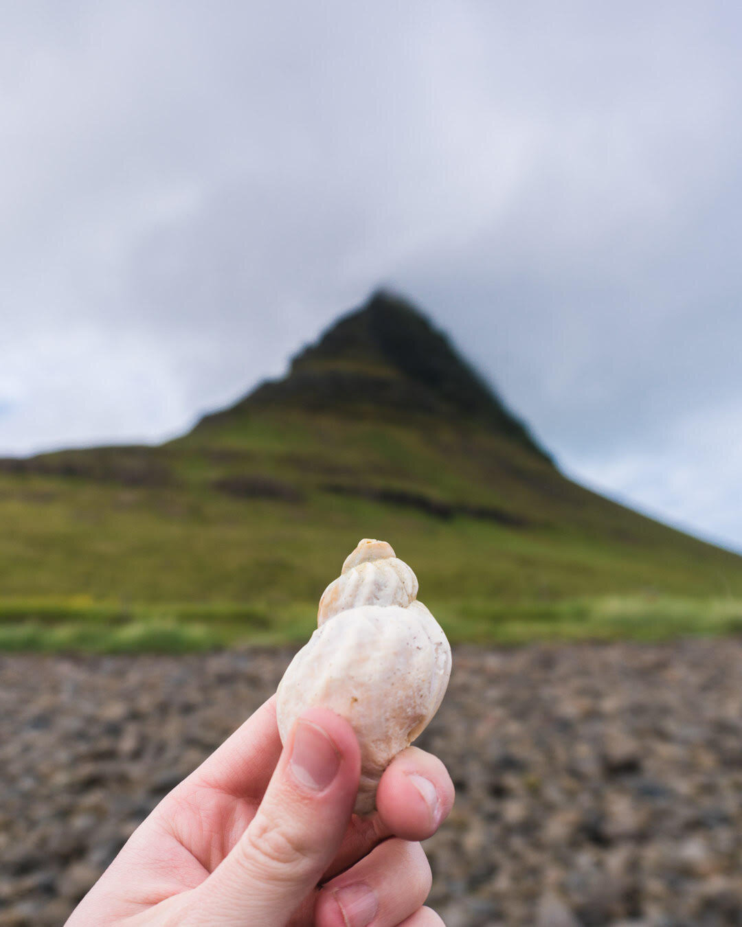 Kirkjufell & A Shell by Jacob Meadows