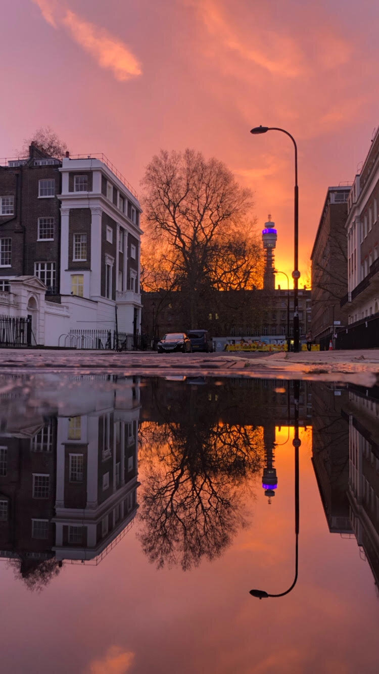 Lights will guide you home by Amelia Snook