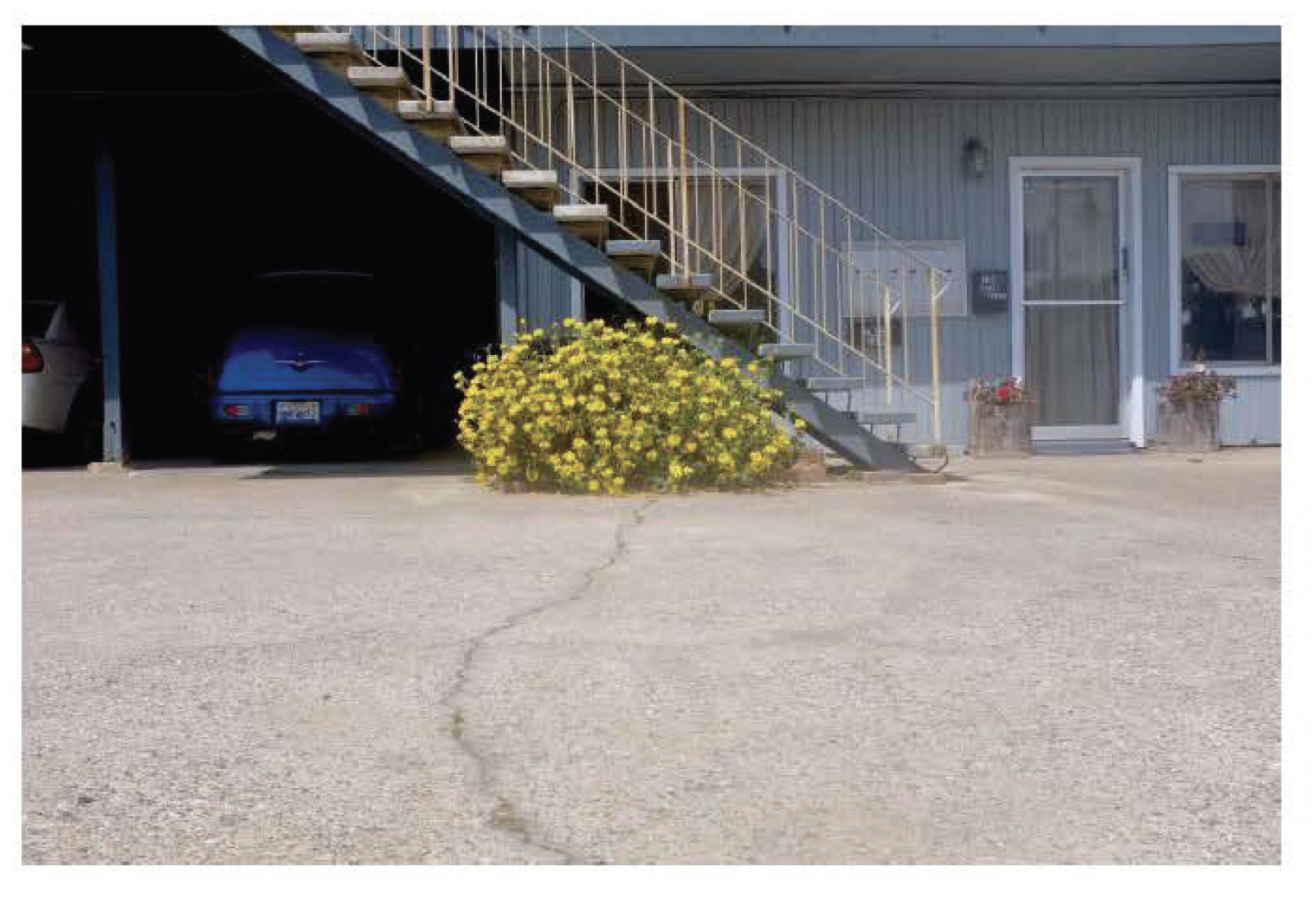 Screen Shot 2021-12-10 at 10.12.18 AM.png