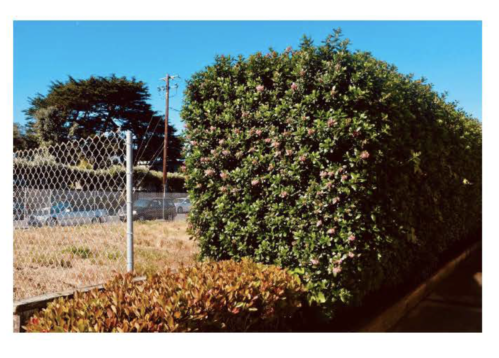 Screen Shot 2021-12-10 at 10.15.54 AM.png