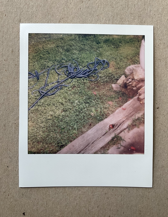 Screen Shot 2022-10-22 at 10.00.21 AM.png