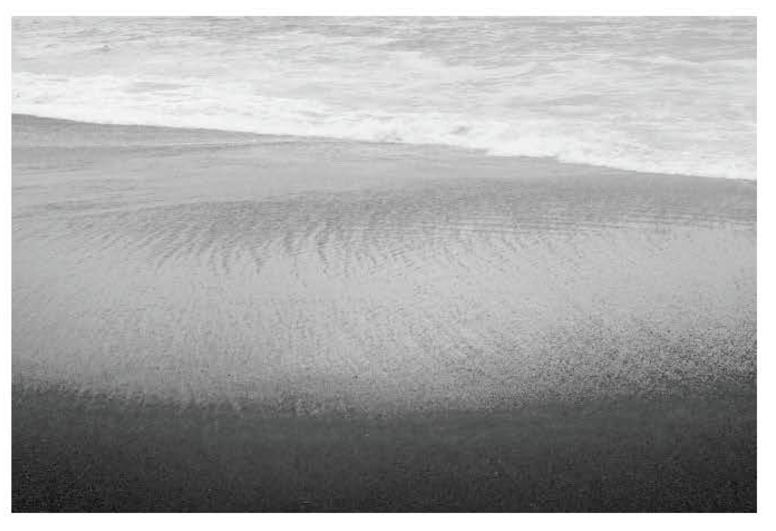 Screen Shot 2021-12-10 at 10.14.29 AM.png