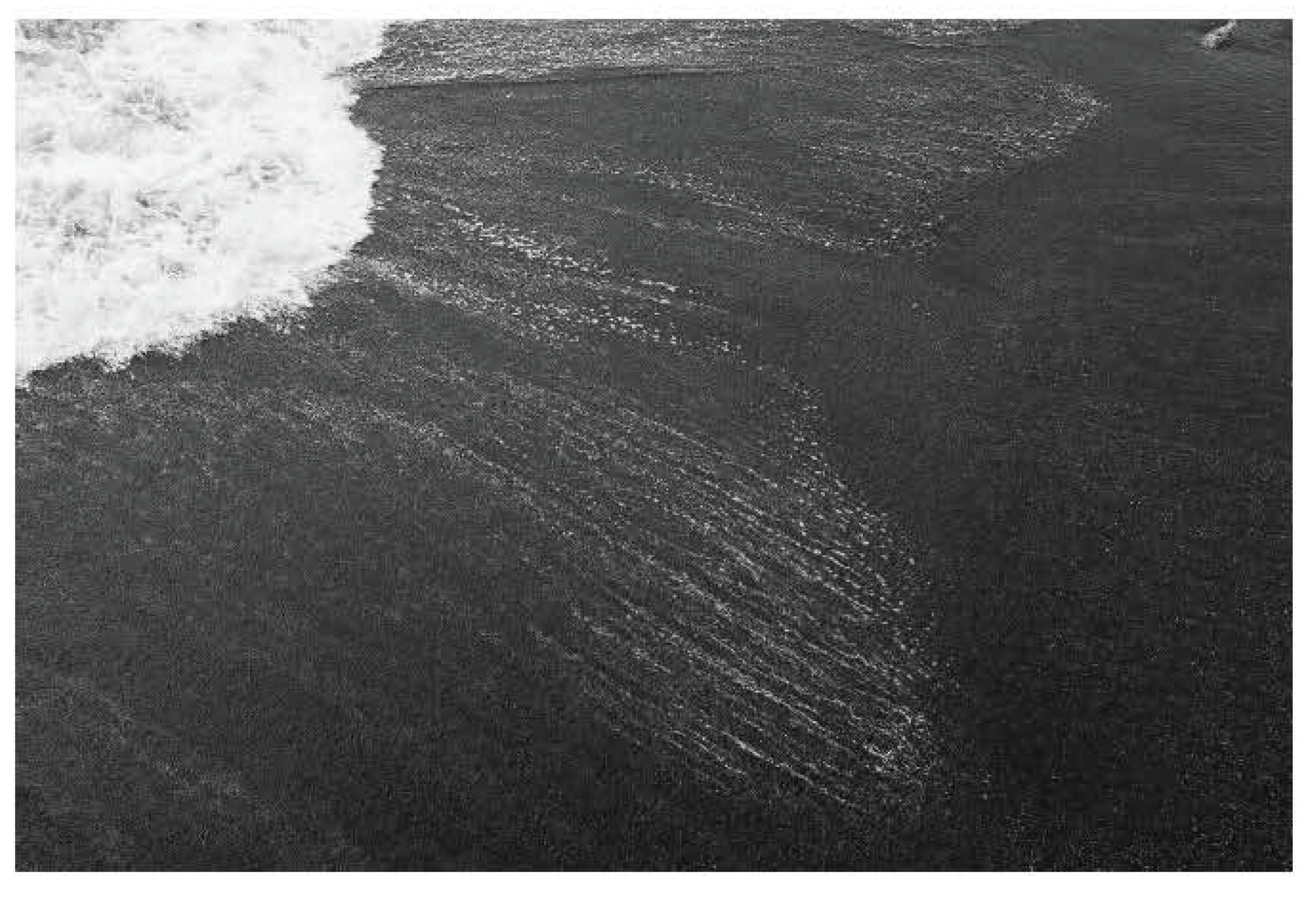 Screen Shot 2021-12-10 at 10.08.31 AM.png