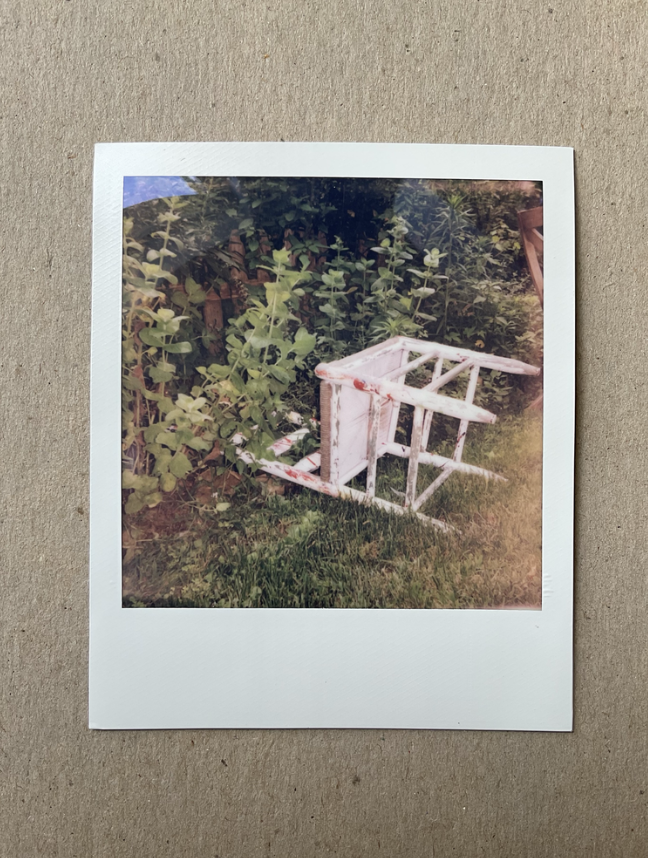 Screen Shot 2022-10-22 at 10.00.38 AM.png