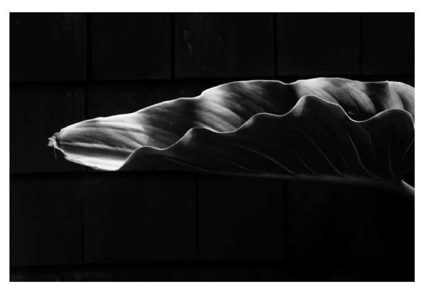 Screen Shot 2021-12-10 at 10.15.04 AM.png