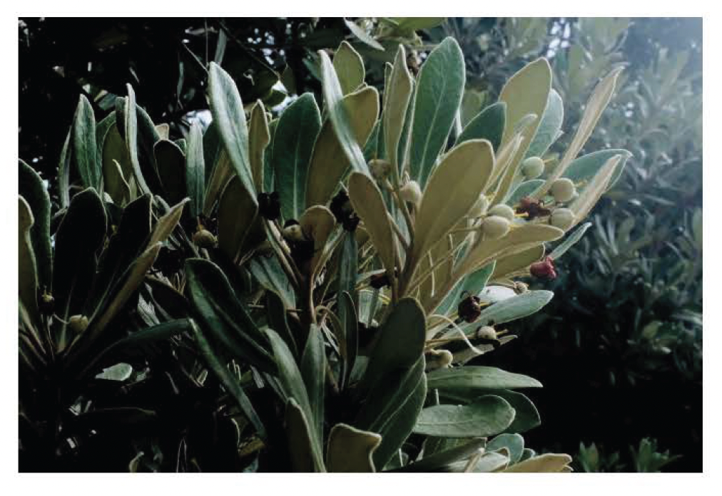 Screen Shot 2021-12-10 at 9.59.38 AM.png