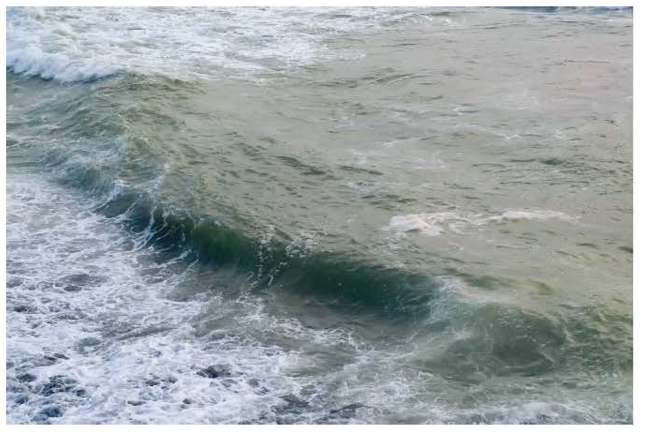 Screen Shot 2021-12-10 at 10.08.43 AM.png