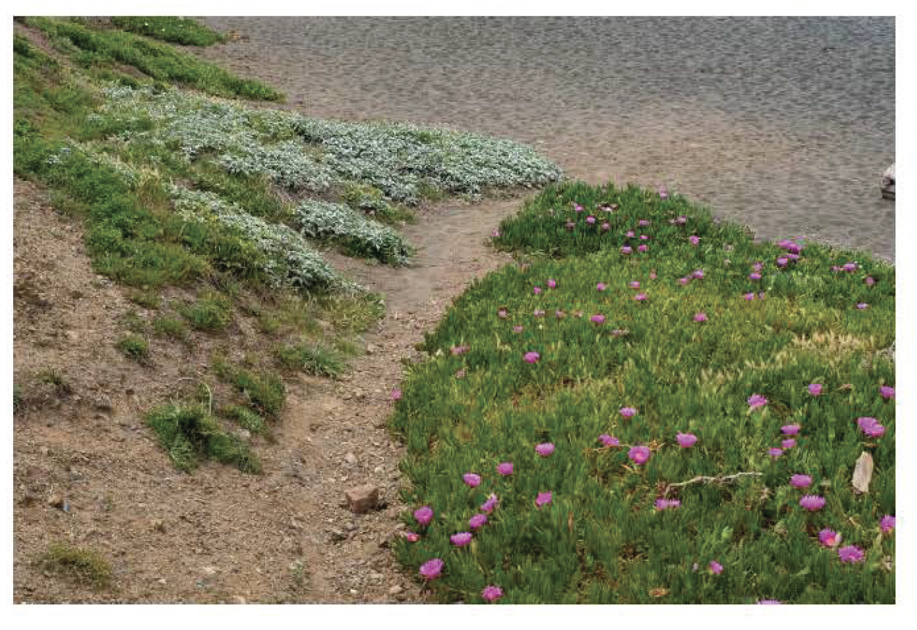 Screen Shot 2021-12-10 at 10.16.43 AM.png