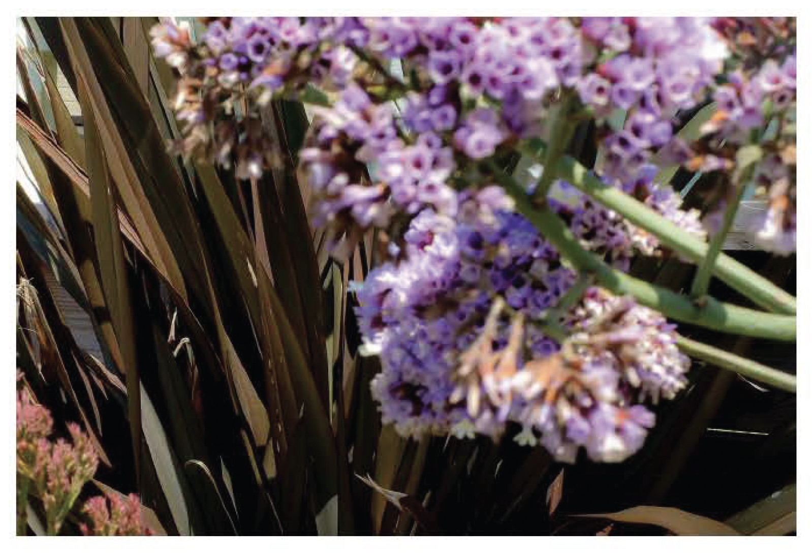 Screen Shot 2021-12-10 at 10.06.57 AM.png