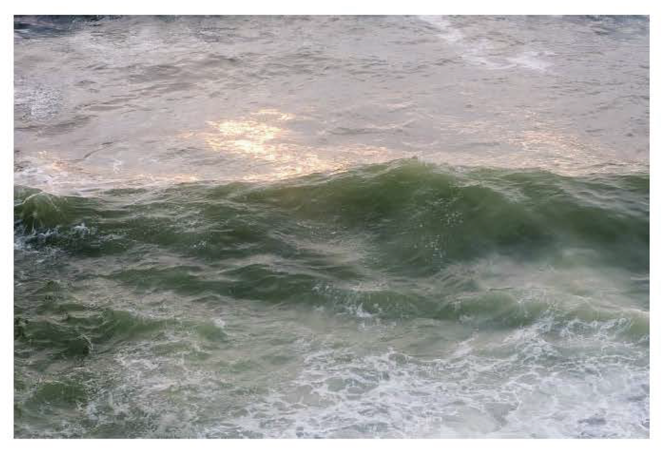 Screen Shot 2021-12-10 at 10.05.35 AM.png