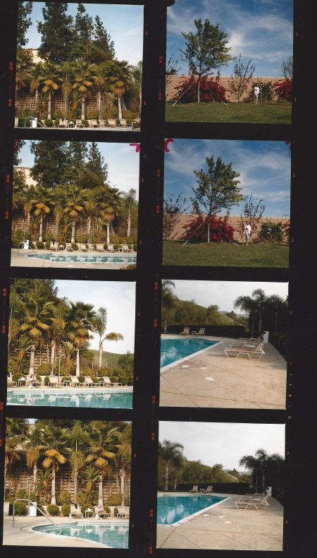 Screen Shot 2022-04-13 at 11.37.29 AM.png