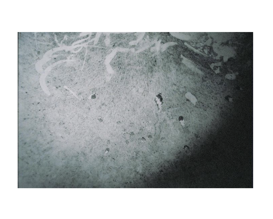 Screen Shot 2022-04-13 at 9.03.58 AM.png