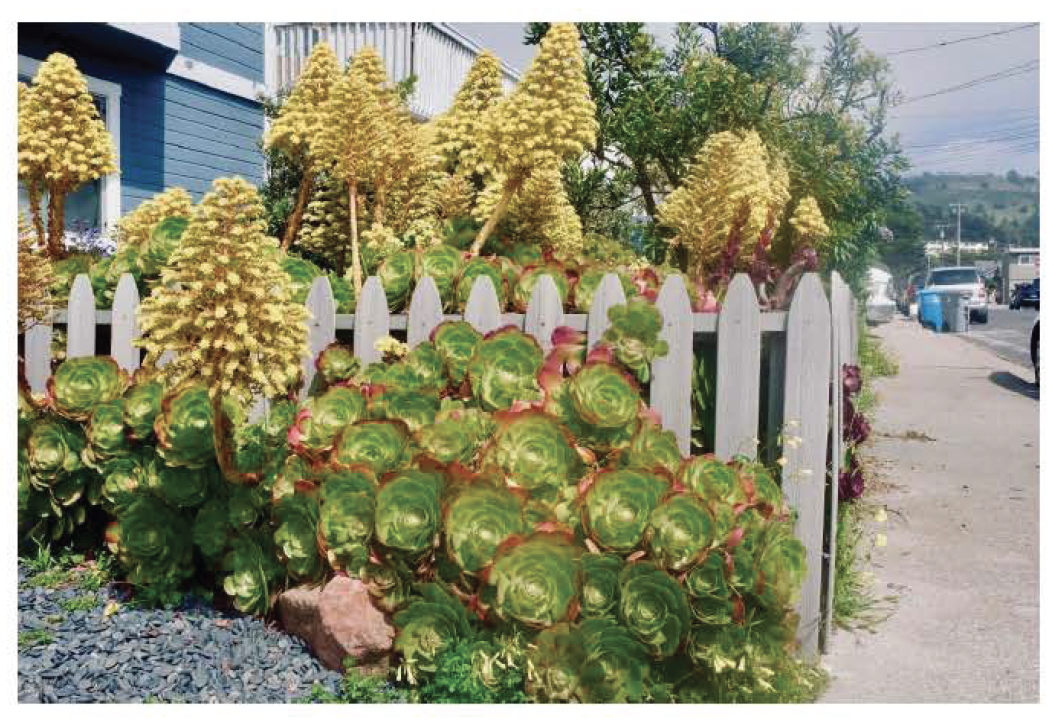 Screen Shot 2021-12-10 at 10.00.56 AM.png