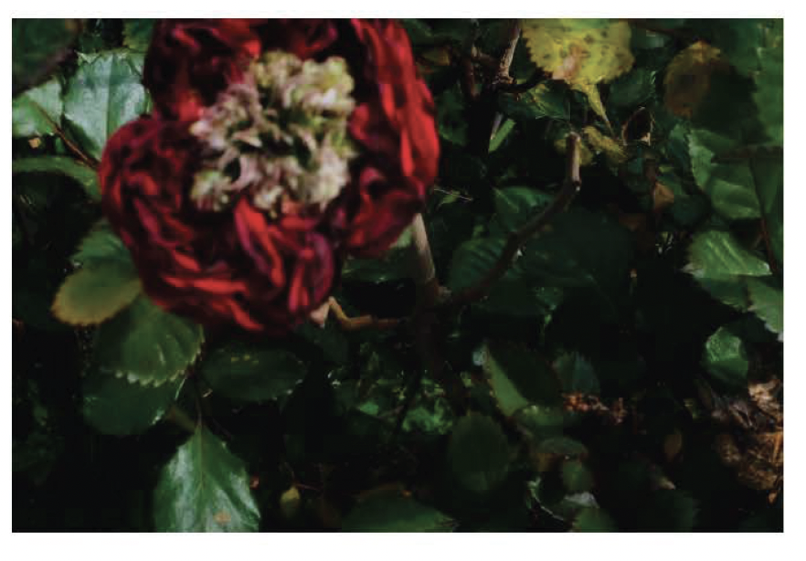 Screen Shot 2021-12-10 at 10.17.29 AM.png