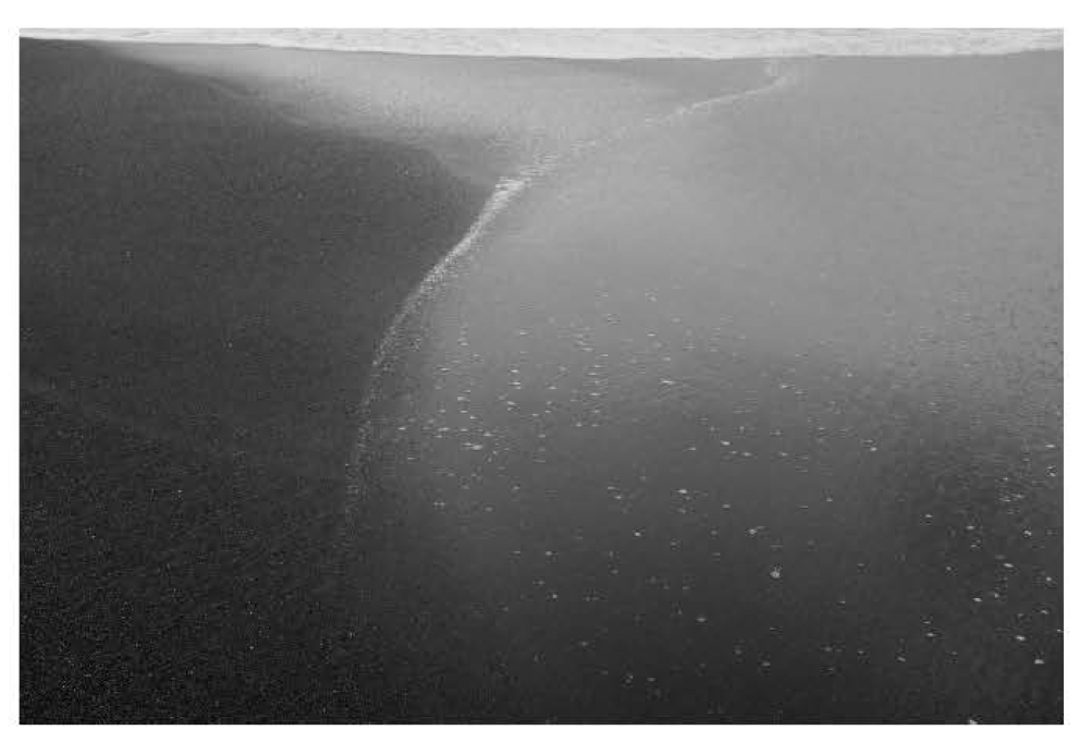 Screen Shot 2021-12-10 at 9.59.59 AM.png