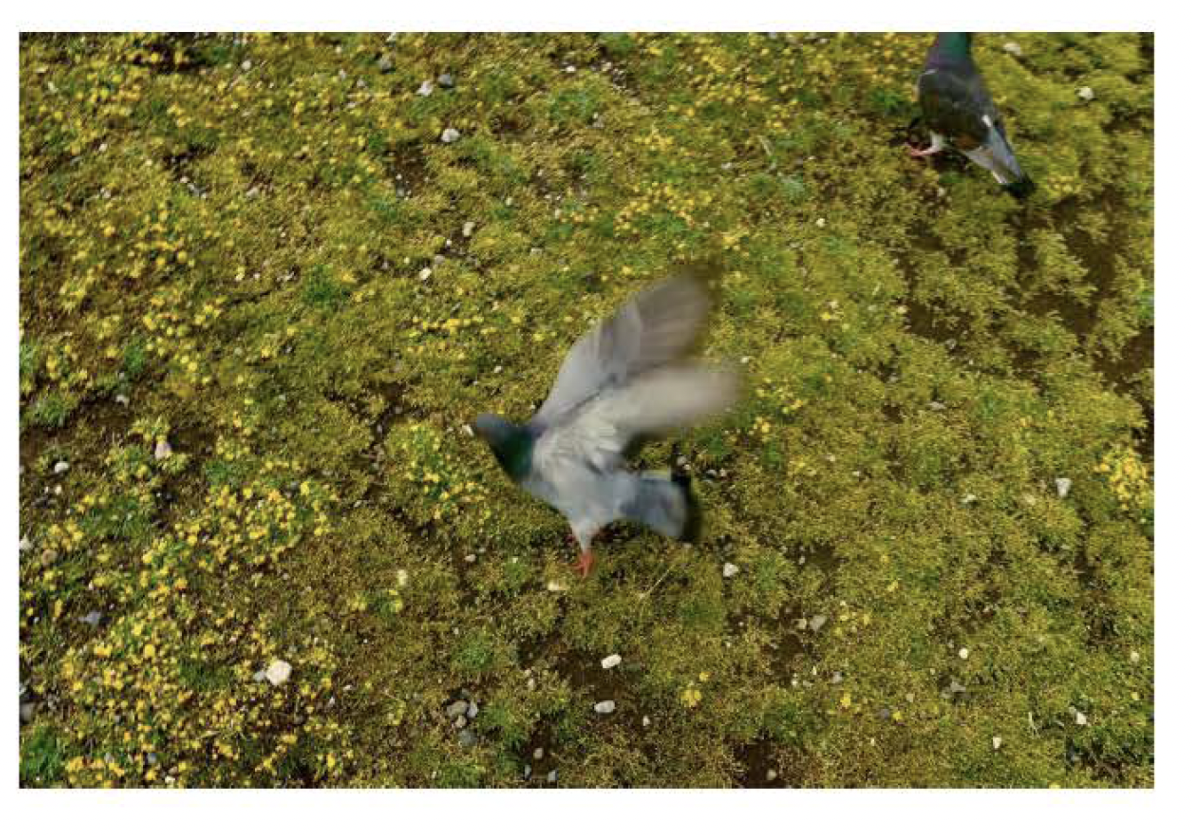 Screen Shot 2021-12-10 at 10.13.52 AM.png