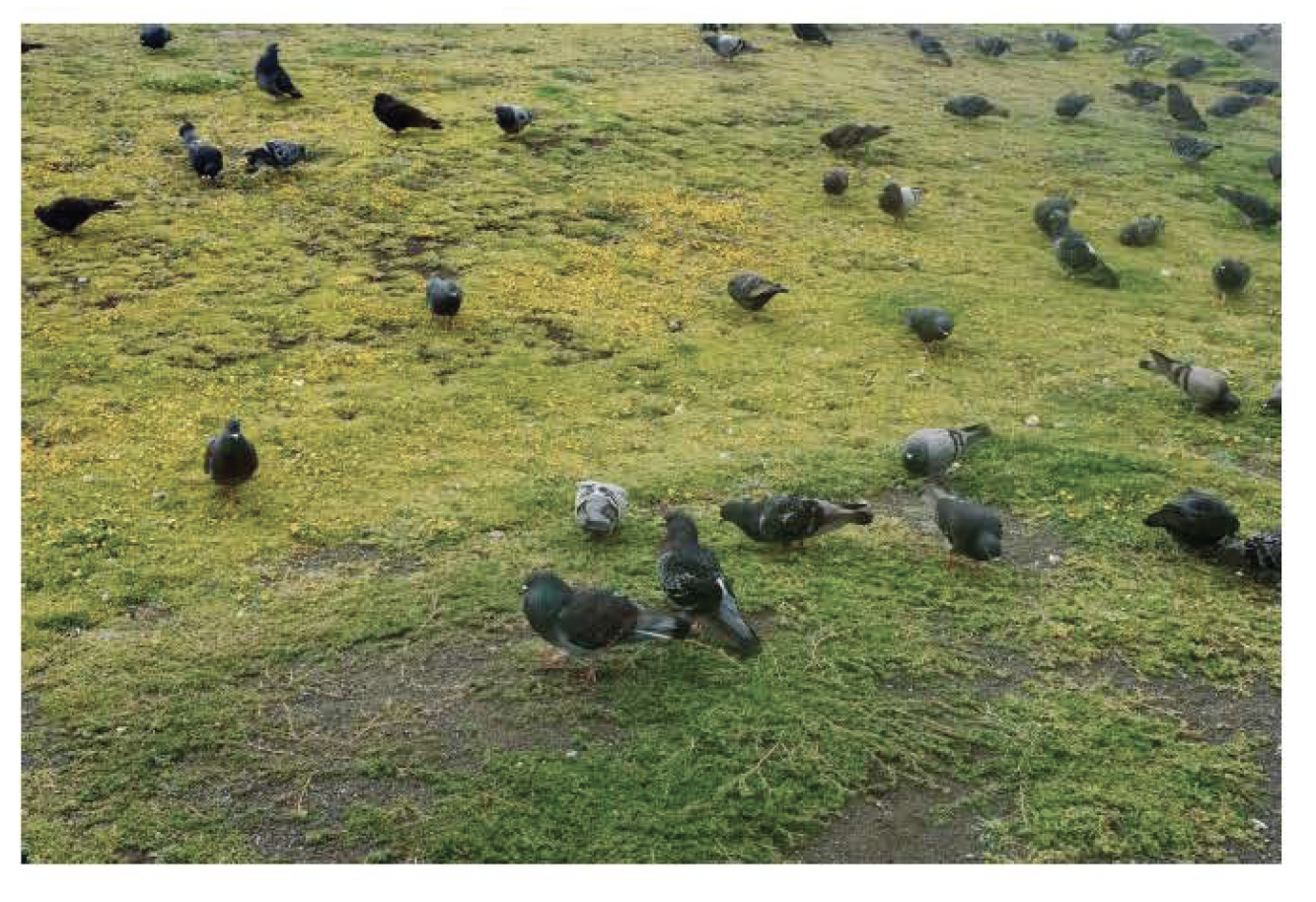 Screen Shot 2021-12-10 at 10.11.39 AM.png