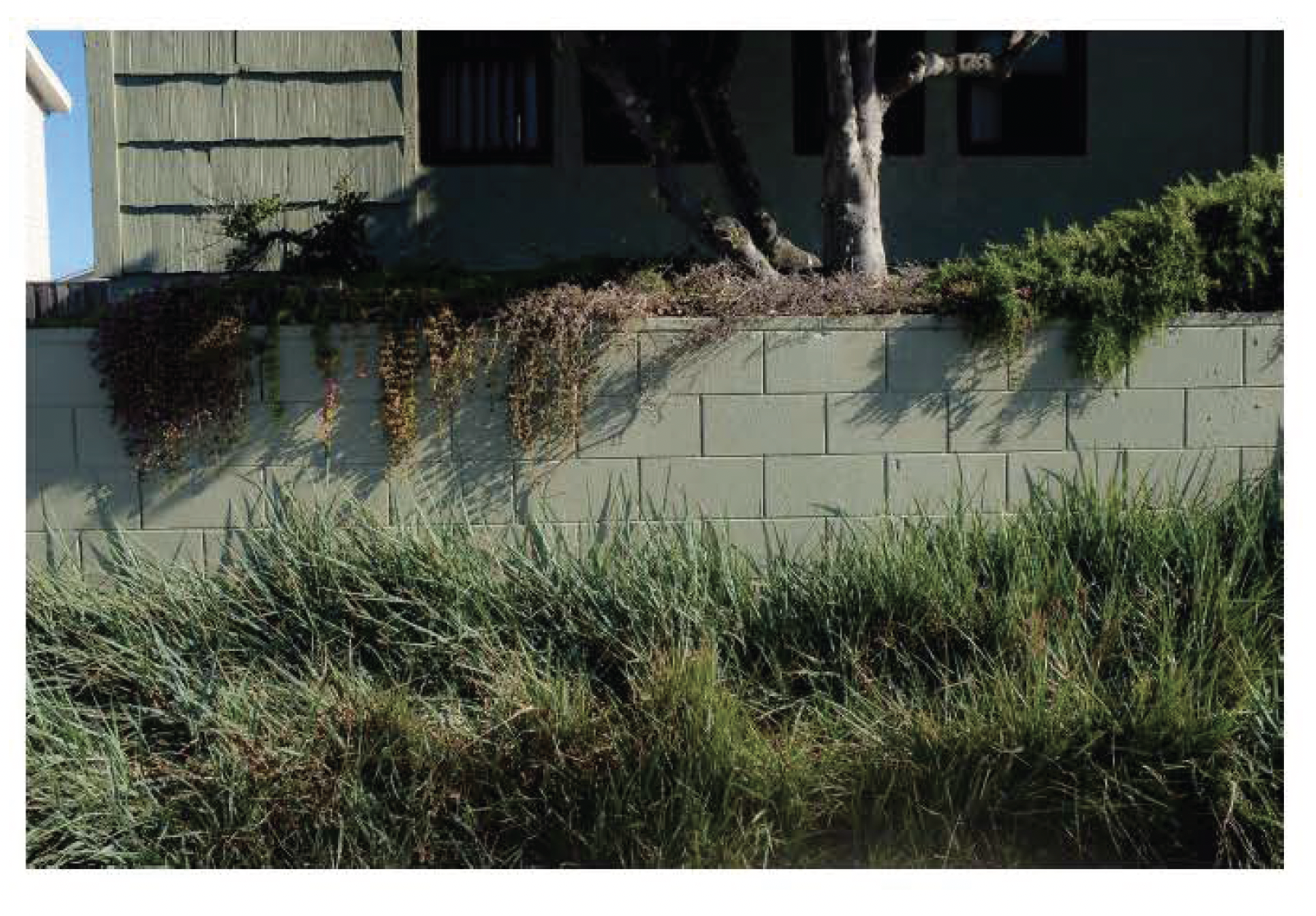 Screen Shot 2021-12-10 at 10.08.05 AM.png