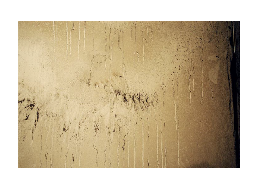 Screen Shot 2022-04-13 at 9.04.05 AM.png