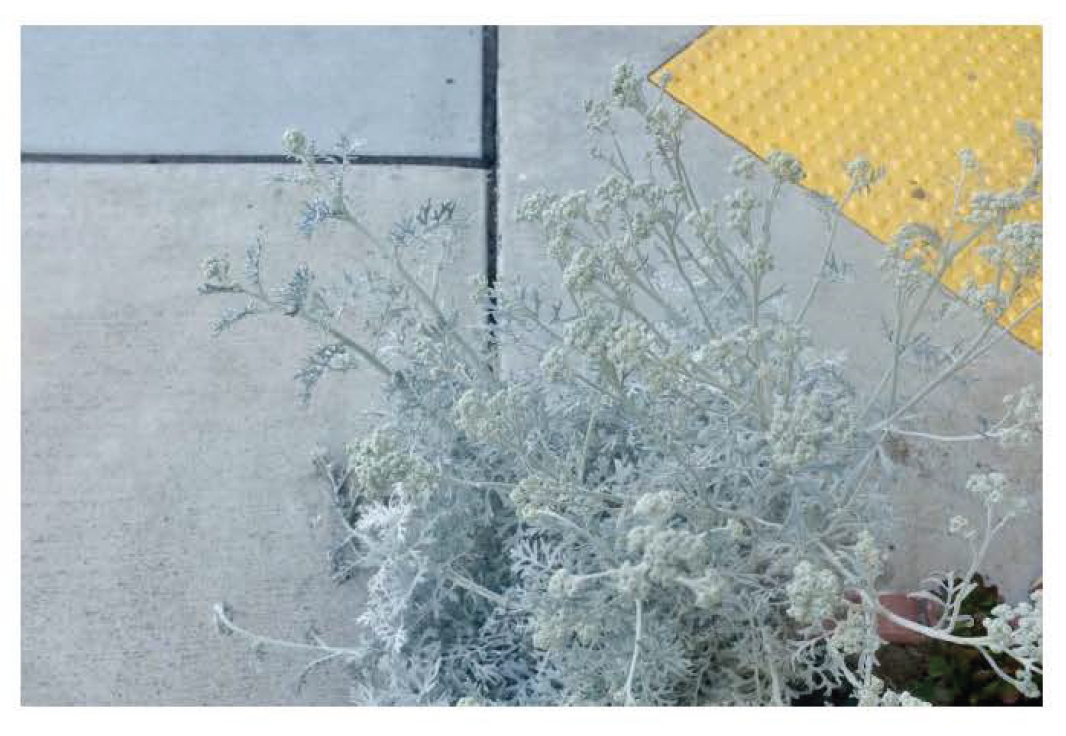 Screen Shot 2021-12-10 at 10.12.03 AM.png