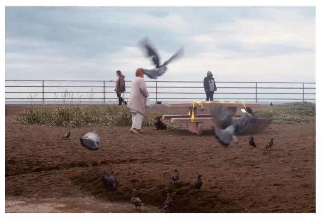 Screen Shot 2021-12-10 at 10.16.27 AM.png