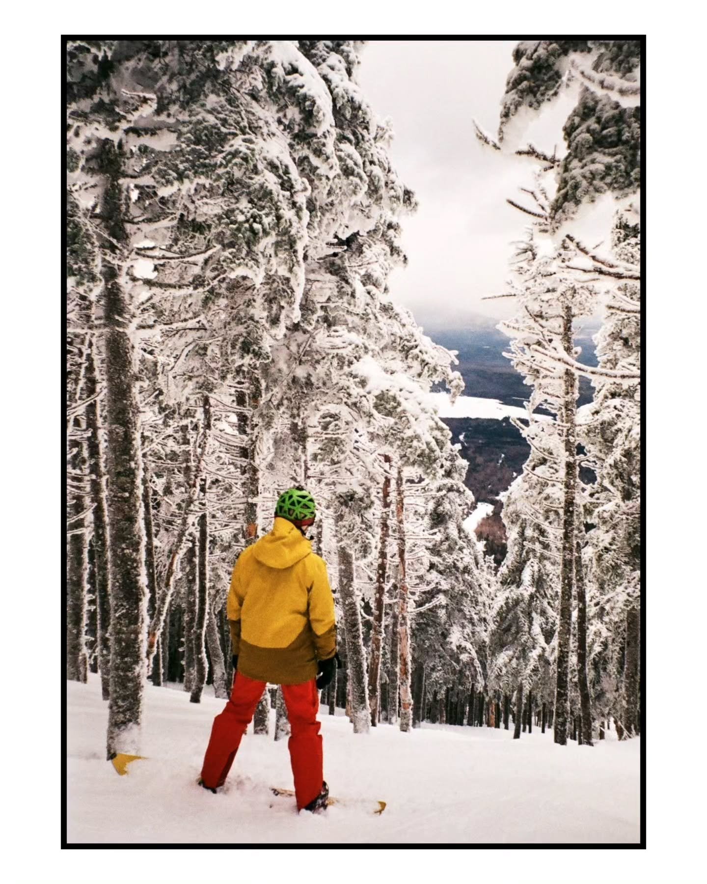 01.13.2024

#35mmfilm #skiingislife #film #olympusaccura #pointandshootcamera