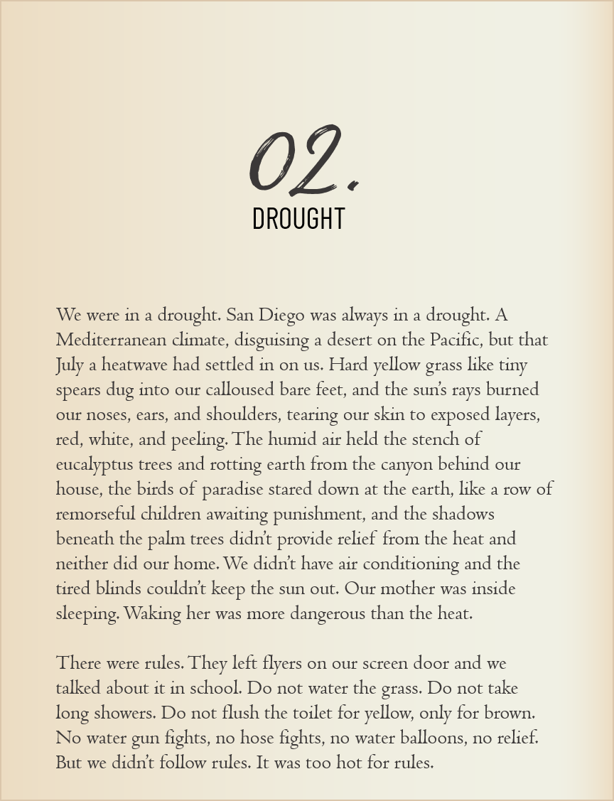 Book_preview_1.png