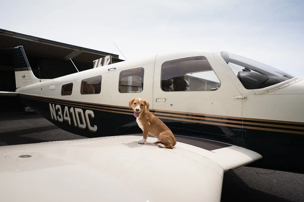 FLYPUPS_-118.JPG