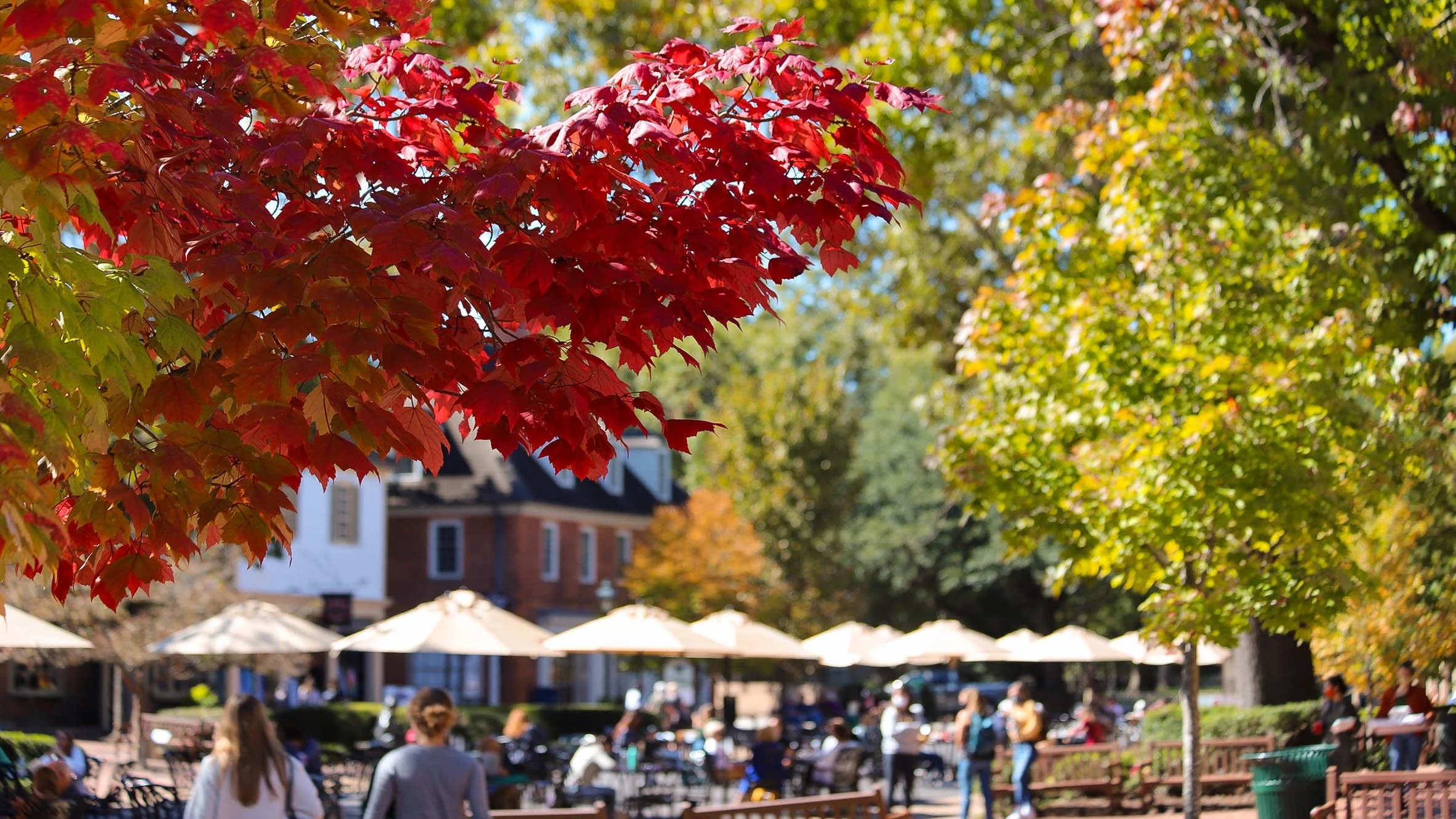 Fall in Merchants Square 1 (City of Williamsburg).jpg