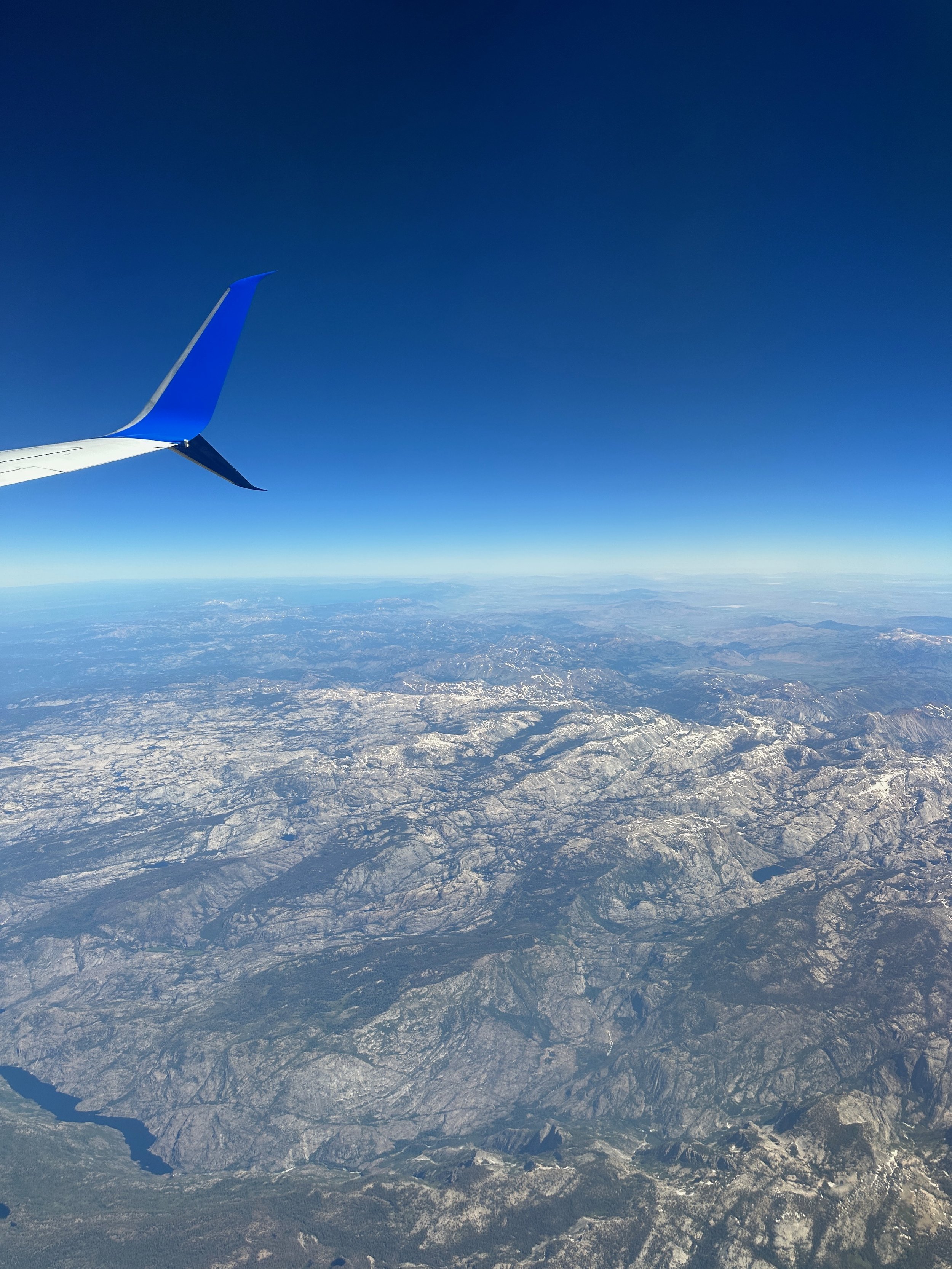 The Well Traveled Path: Contingency Plans in the Face of Uncertainty