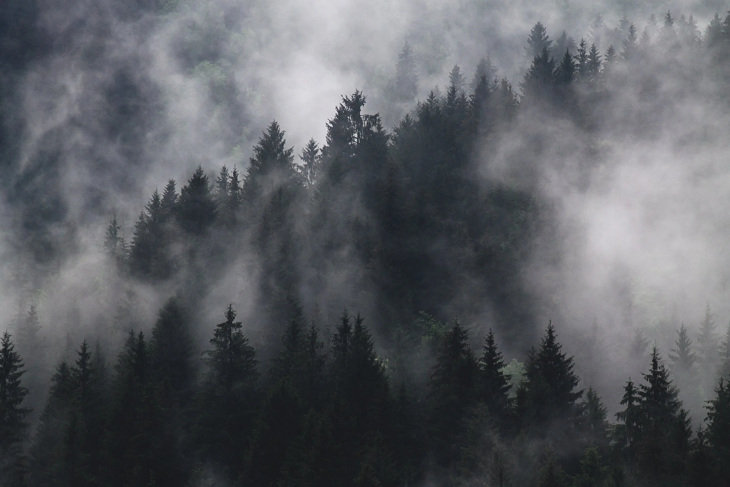 How to Ease Seasonal Affective Disorder 