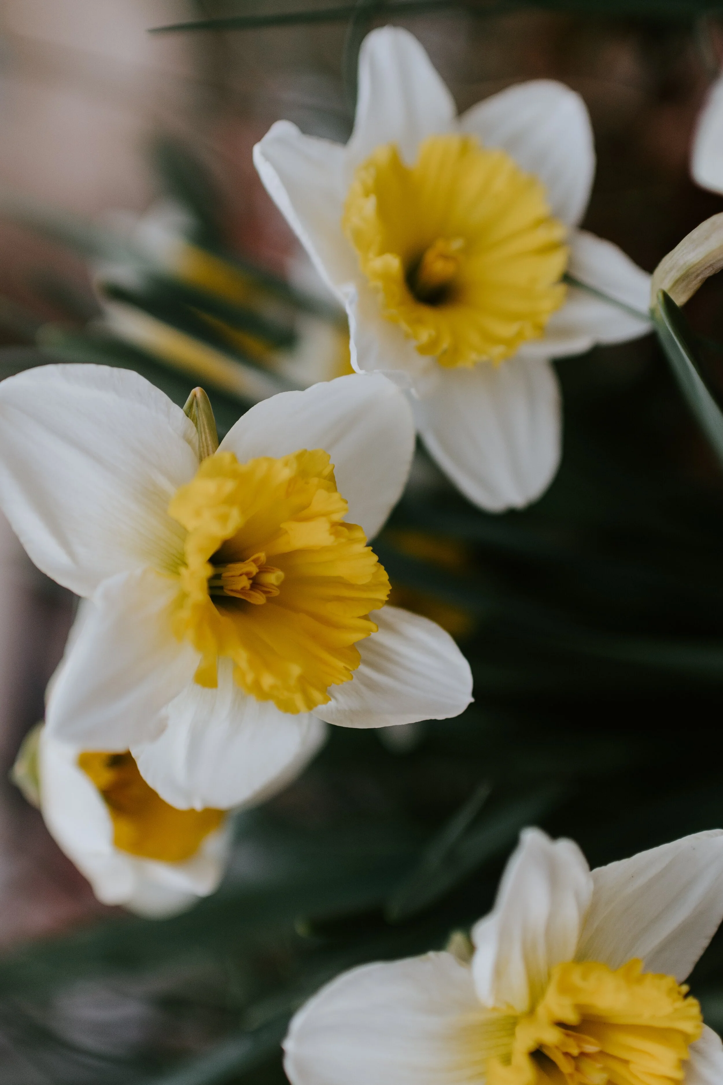How to Relieve Seasonal Allergies