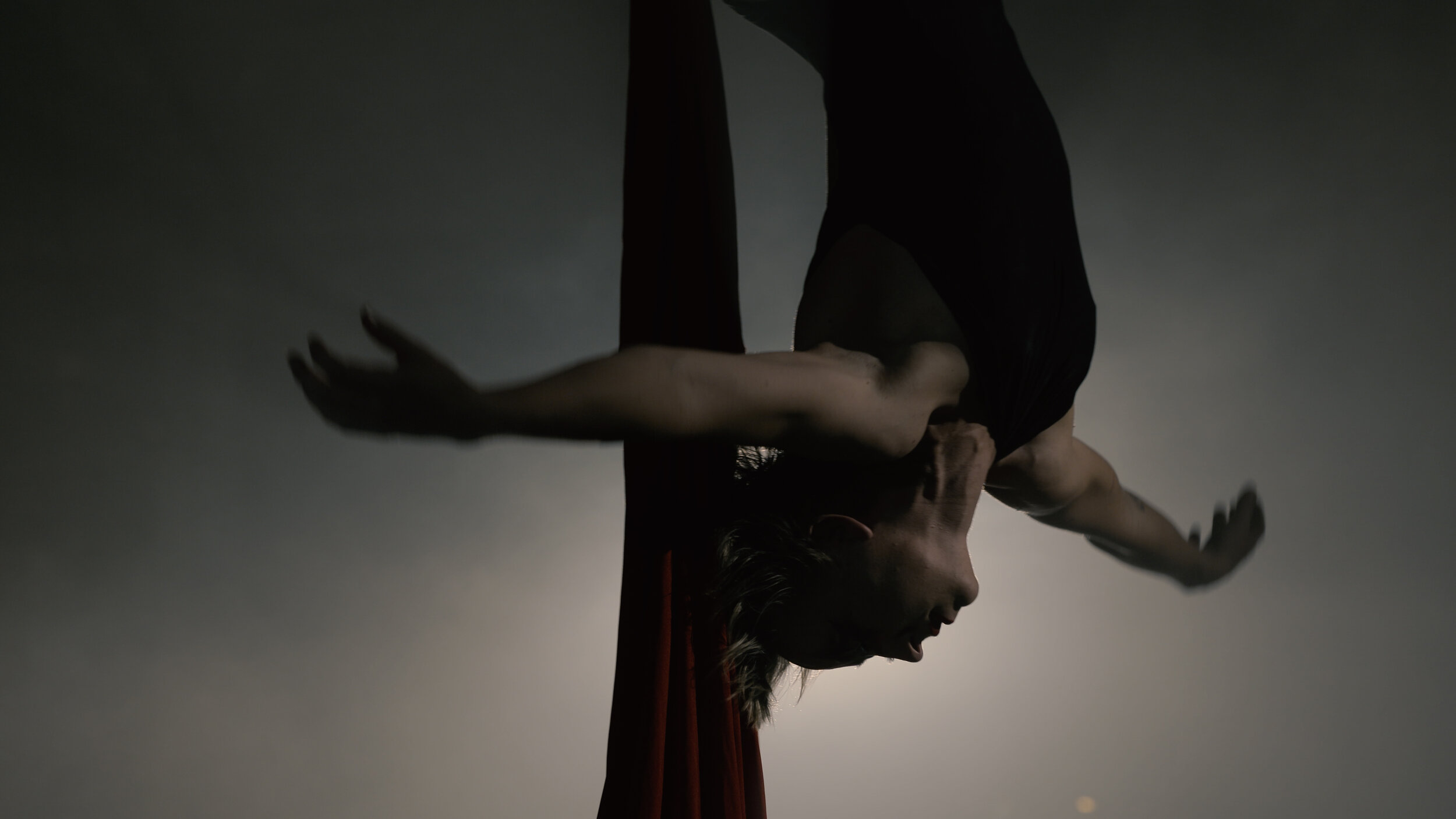 stills 4k.00_43_36_24.Still006.jpg