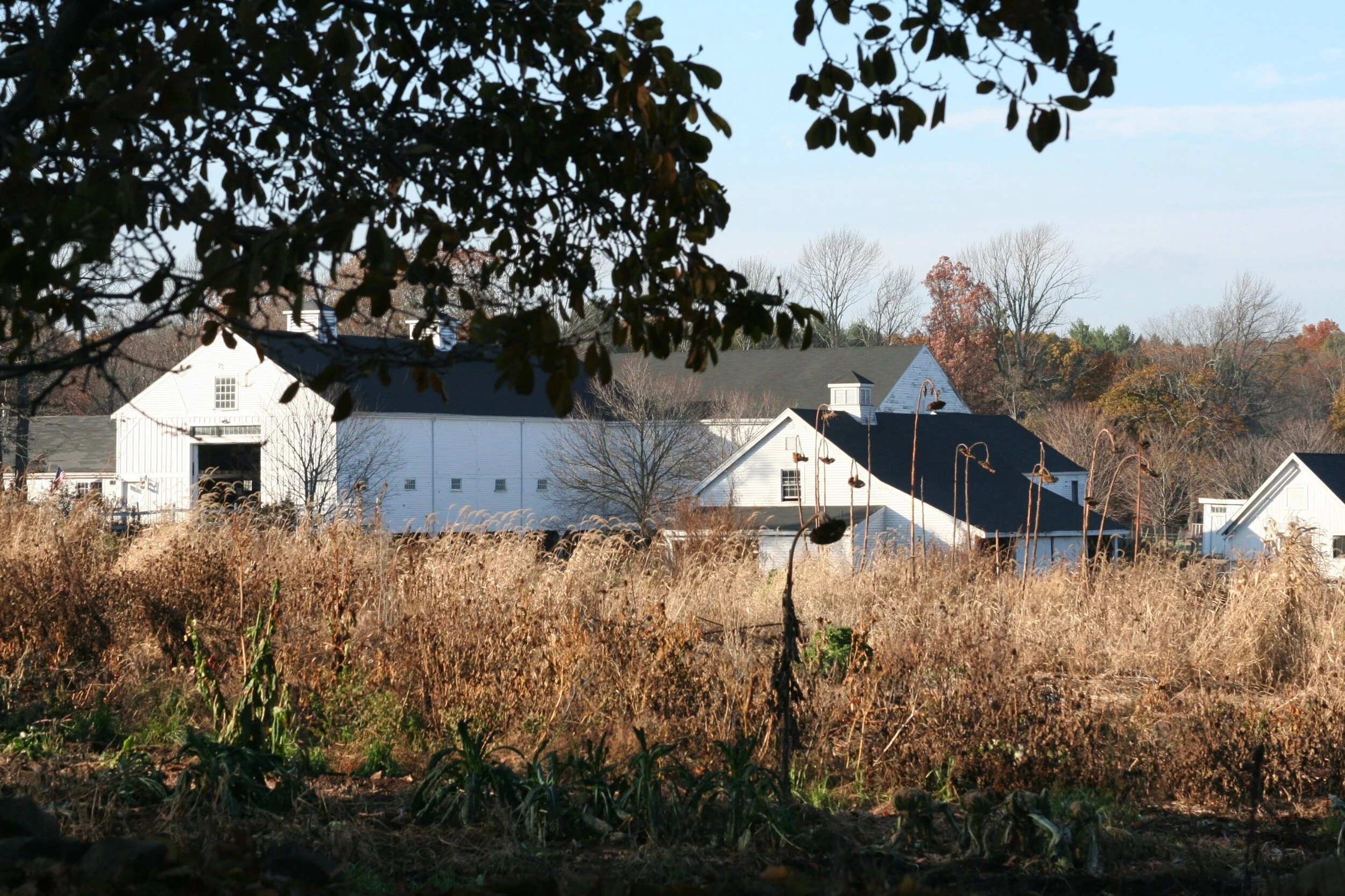 Barrett Planning Group, Planning, Zoning and Community Development, Plymouth Massachusetts