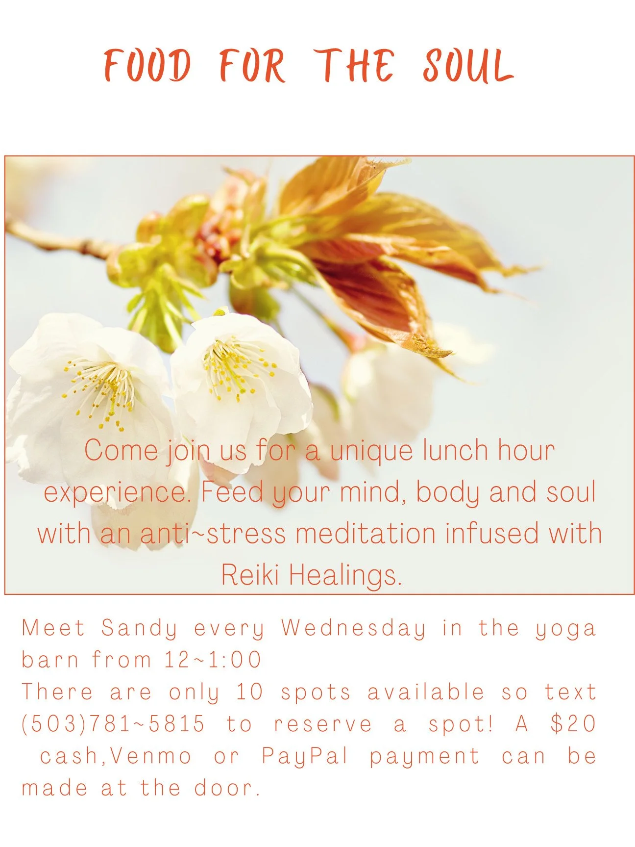 anti-stress meditation infused with Reiki Healings