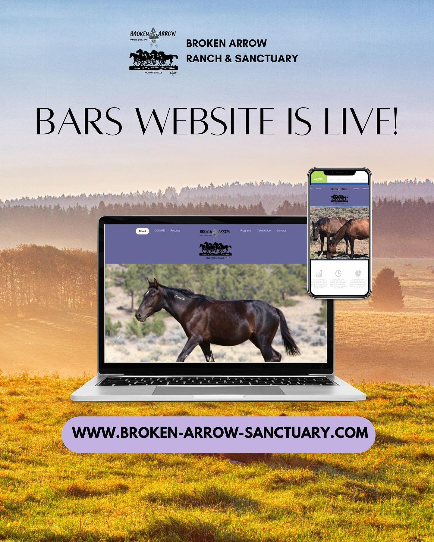 It&rsquo;s finally finished! Here&rsquo;s our website for BARS- which officially became a non-profit 501(c)3. Stay tuned for information regarding healing retreats and volunteer opportunities come Summer 2024! 

A lot of our time and attention has be