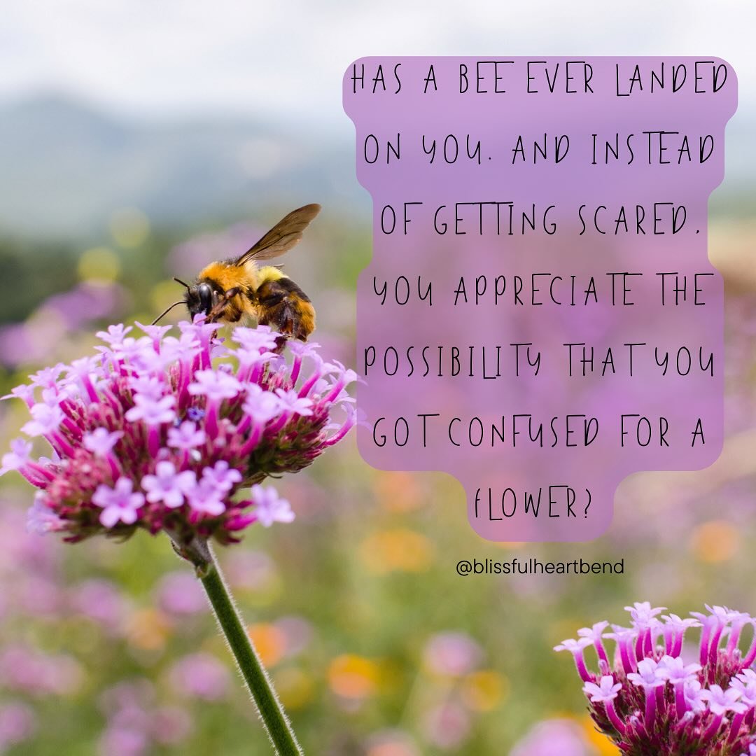 Just a thought 🧐🥰 🐝 🌸 
.
.
.
#bloom #happy #quote #perspective #warm #spring #summer #sun #bend #bendoregon #changeyouroutlook