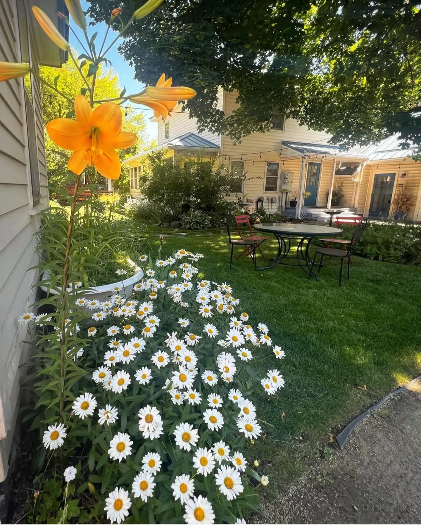 🥰🤌🏽
.
.
.
#gardens #growth #newgrowth #community #bend #bendwellness #heal