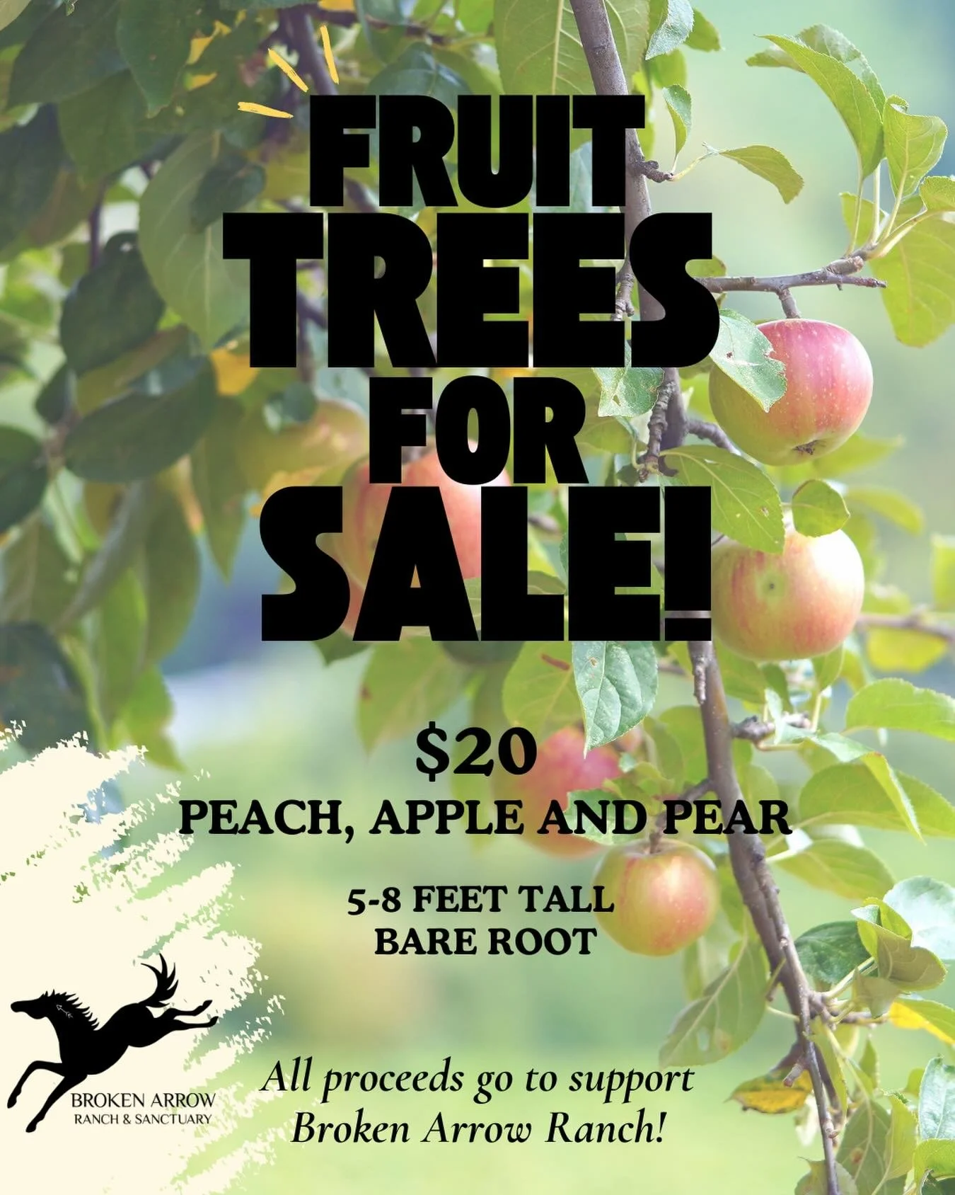 Come on by during the week if you&rsquo;d like a fruit tree to plant! Cash, check or PayPal is accepted. 💕🌴🍓🍒🍇🍑🍊🍋🍏🍐
.
.
.
#growth #fruittree #nonprofit #savethehorses #bendoregon