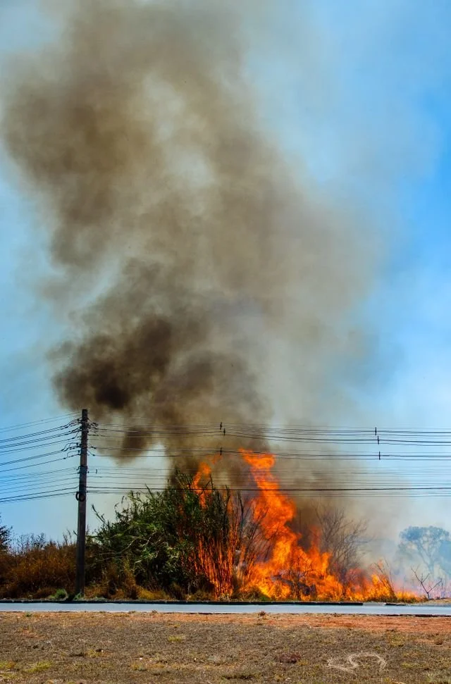 A Holistic Wellness Guide for Central Oregon Smoke Season