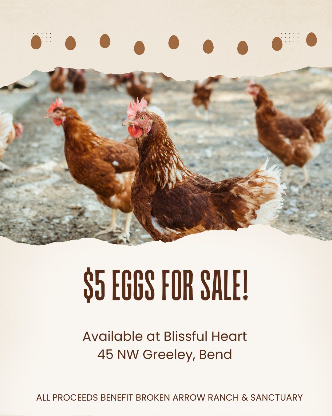 Get your fresh eggs today for just $5 at Blissful Heart, 45 NW Greeley, Bend!🥚 Every purchase helps support Broken Arrow Ranch &amp; Sanctuary. 🐔❤️