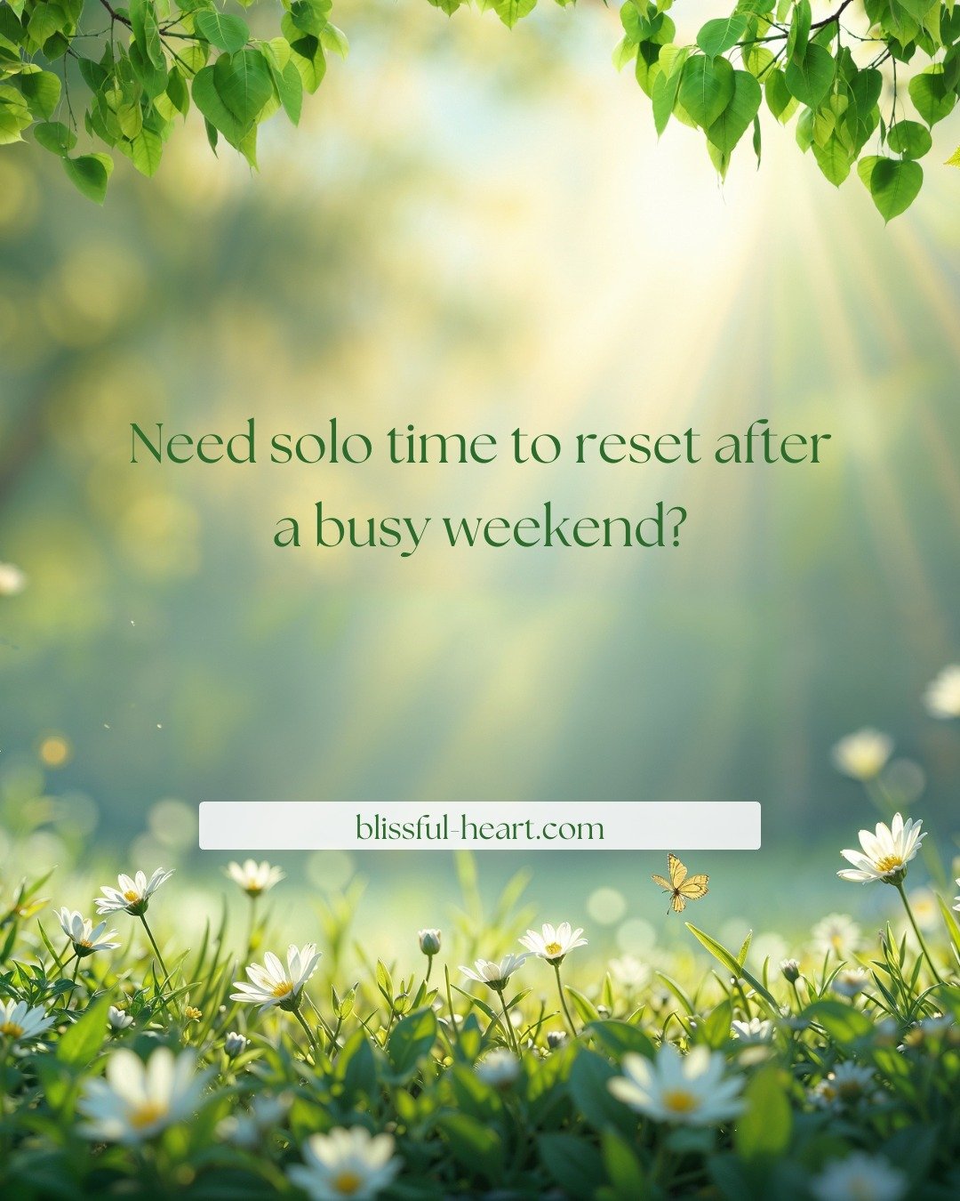 Need some "me time" after a busy weekend? How about a massage, facial, scalp treatment or hair refresh? Take time between appointments for a complimentary cup of tea enjoyed in our beautiful gardens. Visit blissful-heart.com to book yoursel